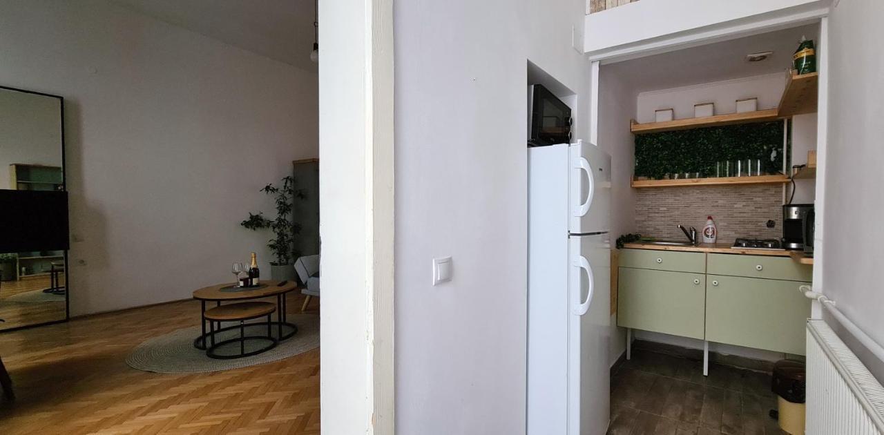 Zeiss House Appartement Braşov Buitenkant foto