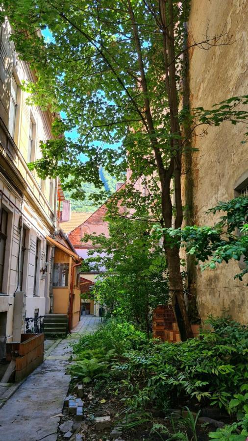 Zeiss House Appartement Braşov Buitenkant foto